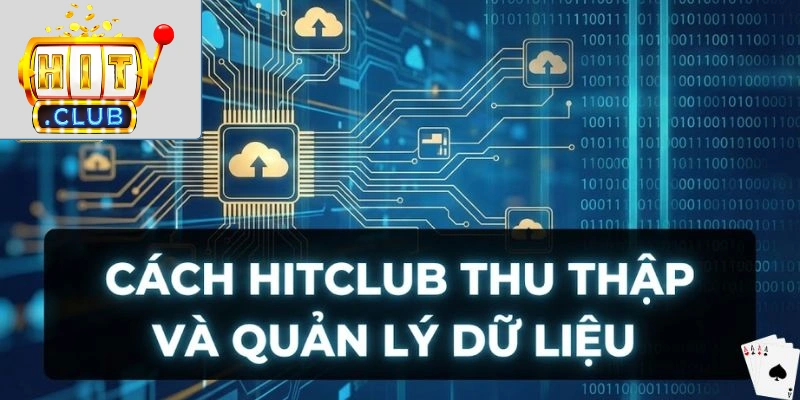 Cách Hitclub thu thập và quản lý dữ liệu